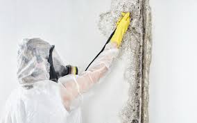 Best Forensic Mold Investigation  in North Granby, CT